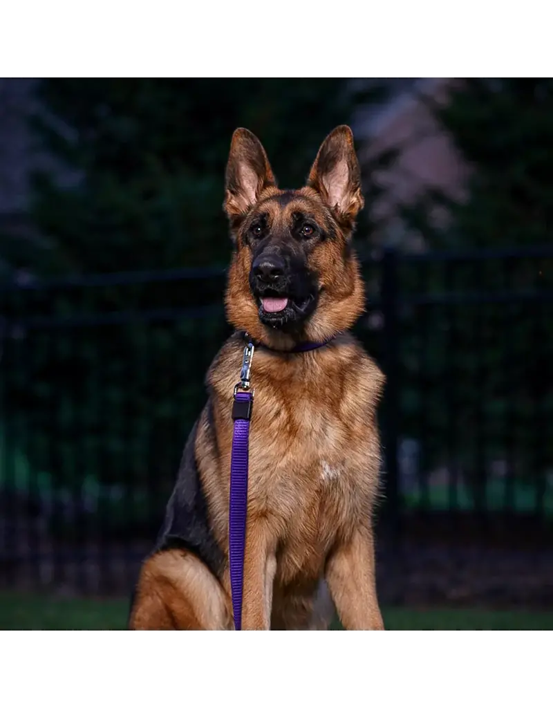 Coastal Pet Coastal Pet Inspire Leash