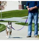 Coastal Pet Coastal Pet Inspire Leash