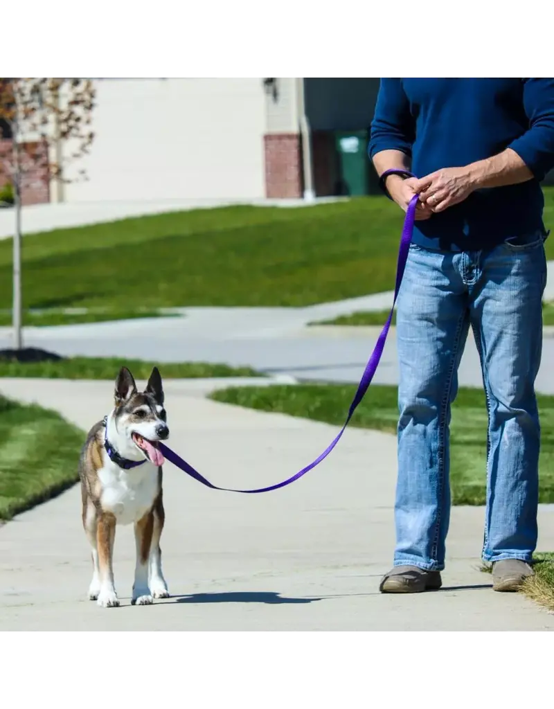 Coastal Pet Coastal Pet Inspire Leash