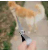 Coastal Pet Coastal Pet Inspire Leash