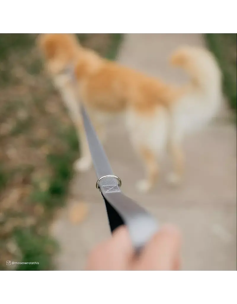 Coastal Pet Coastal Pet Inspire Leash