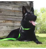 Coastal Pet Coastal Pet Inspire Leash