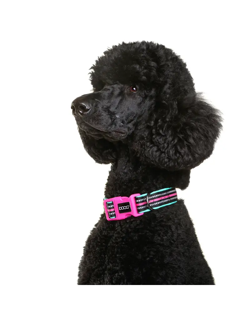 Doog Pet Products DOOG Neon High Vis Neoprene Collar