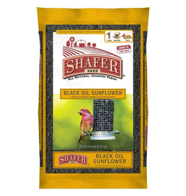 Shafer Shafer Black Oil Sunflower Seed 10 lb