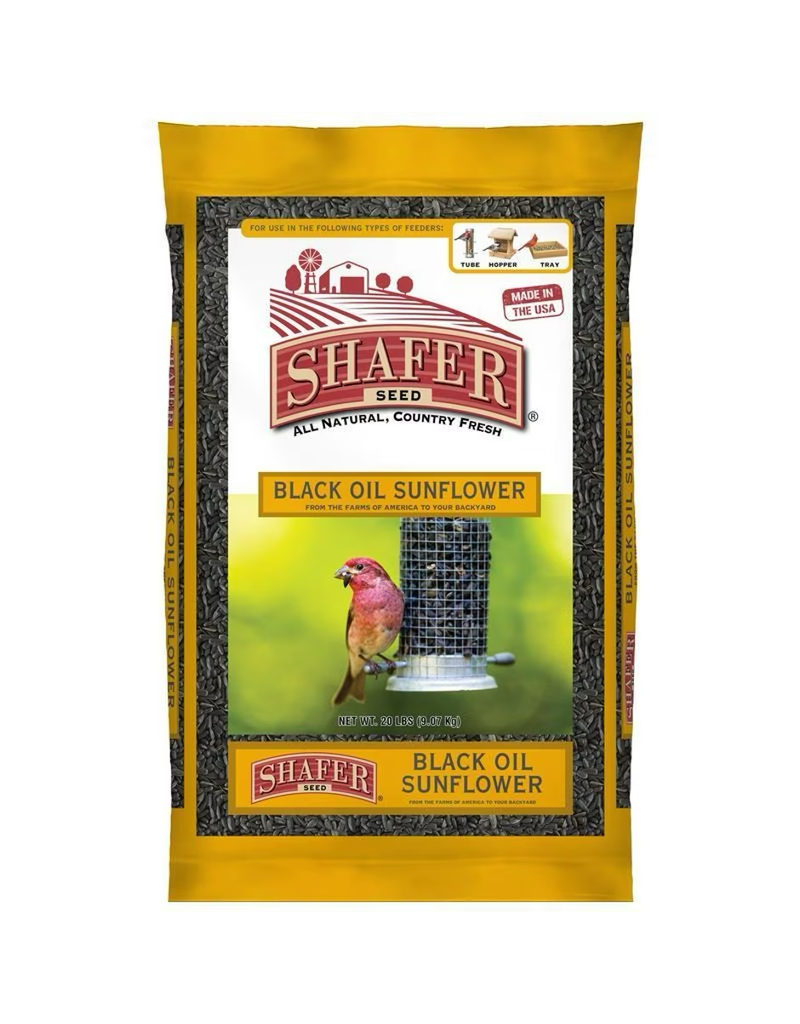Shafer Shafer Black Oil Sunflower Seed 10 lb