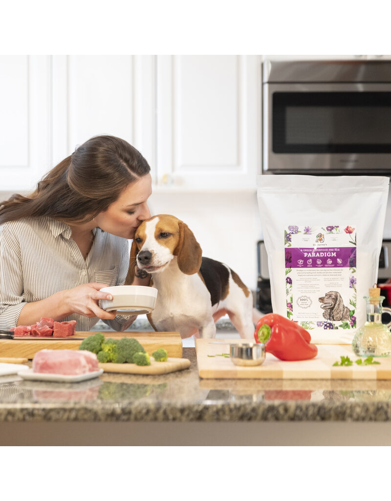 Dr Harvey Dr Harvey's Paradigm Superfood Base-Mix