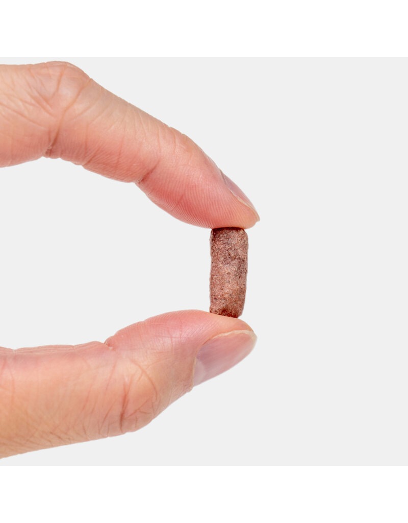 Dr Harvey Dr Harvey's Rabbit Bites Dog 7 oz