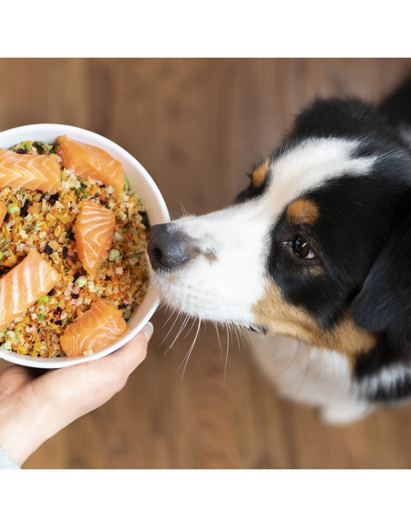 Dr Harvey Dr Harvey's Veg-To-Bowl Grain Free Base-Mix