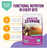 Health Extension Health Extension Grain Free Salmon