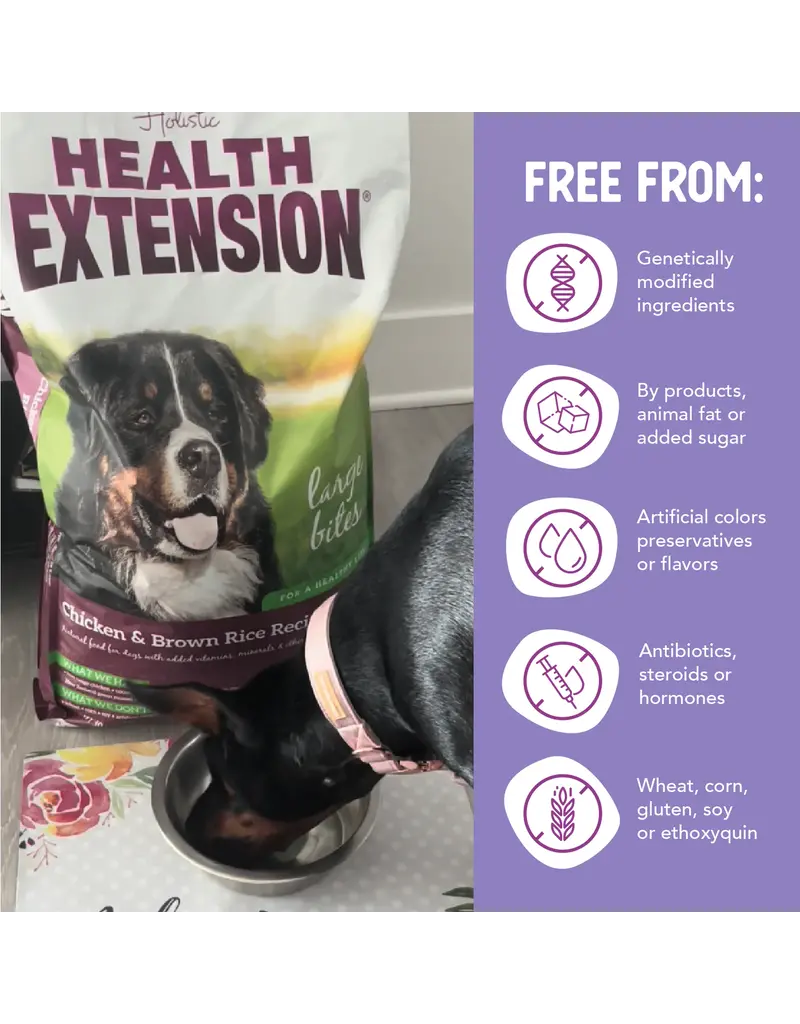 Health Extension Health Extension LB Adult Chicken & Brown Rice Dog Food 30 lb