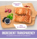 Health Extension Health Extension Little Bites Grain Free Salmon 3.5lb