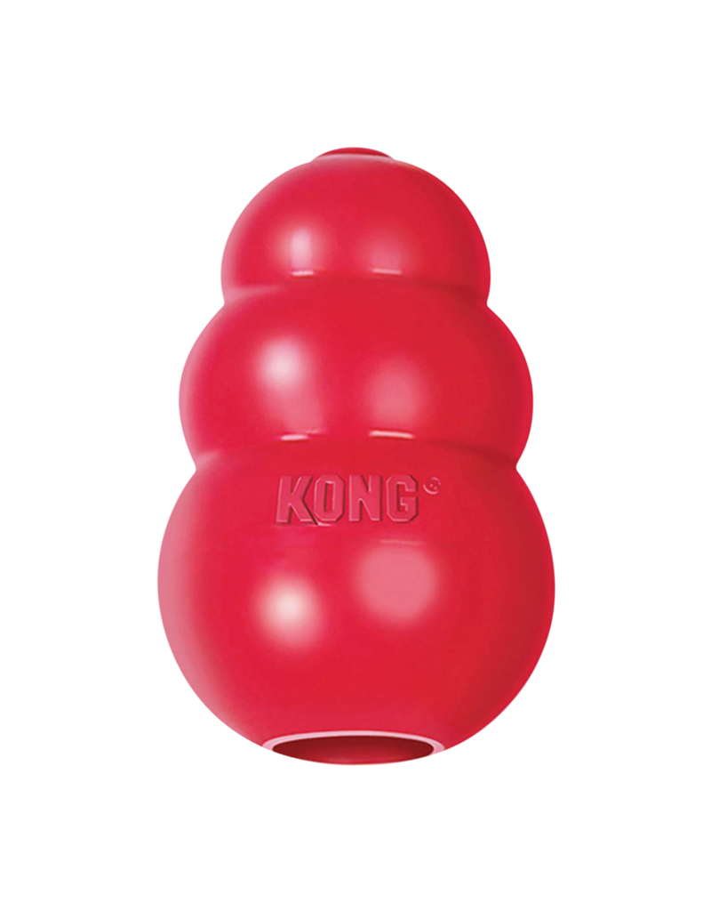 Kong Company Kong Classic Dog Toy