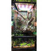 Zoo Med Zoo Med Paludarium Terrarium and Aquarium 10gal