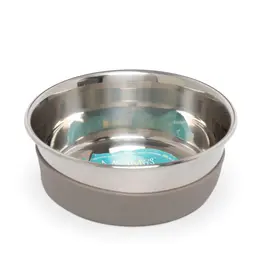 Messy Mutts Messy Mutts Stainless Steel Dog Bowl with Non-Slip Removable Silicone Base