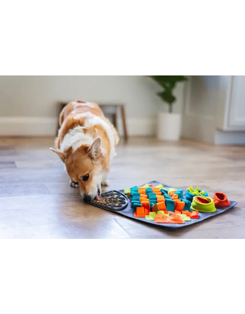 Messy Mutts Messy Mutts Square Forage/Snuffle Mat plus Lick Square