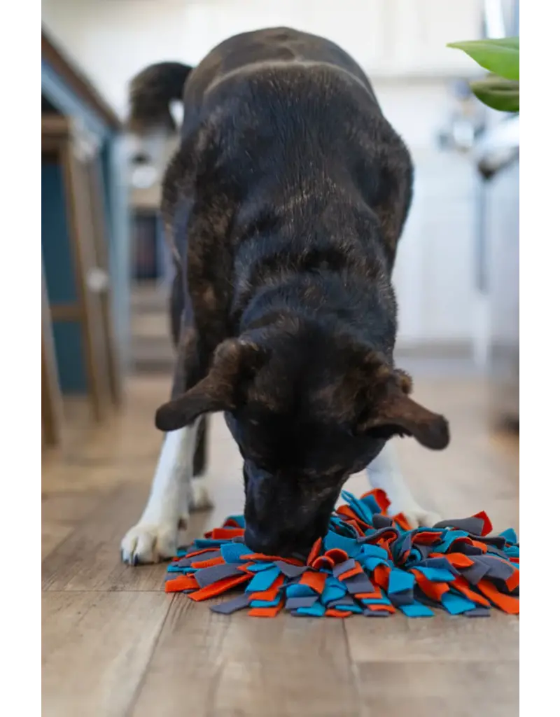 Messy Mutts Messy Mutts Forage/Snuffle Mat Round