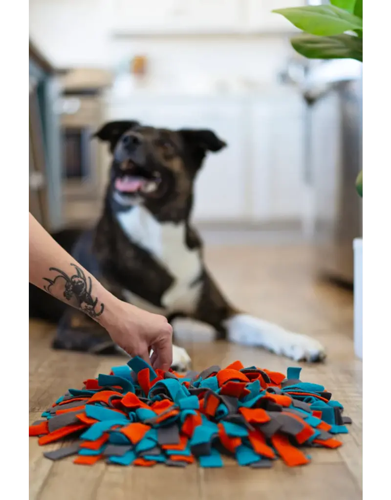 Messy Mutts Messy Mutts Forage/Snuffle Mat Round