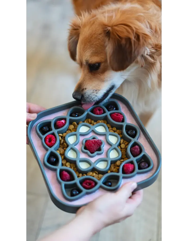 Messy Mutts Messy Mutts Interactive Square Dog/Cat Slow Feeder 2 cup