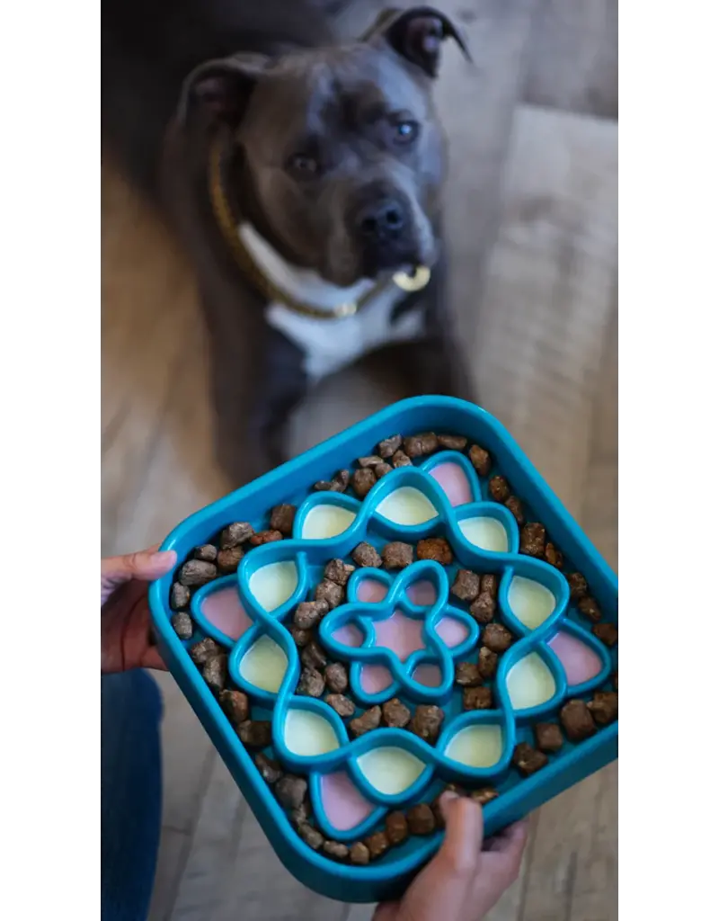 Messy Mutts Messy Mutts Interactive Square Dog Slow Feeder 8 cup
