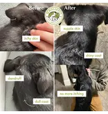 Wholistic Pet Organics Wholistic Pet Organics Wild Salmon Oil