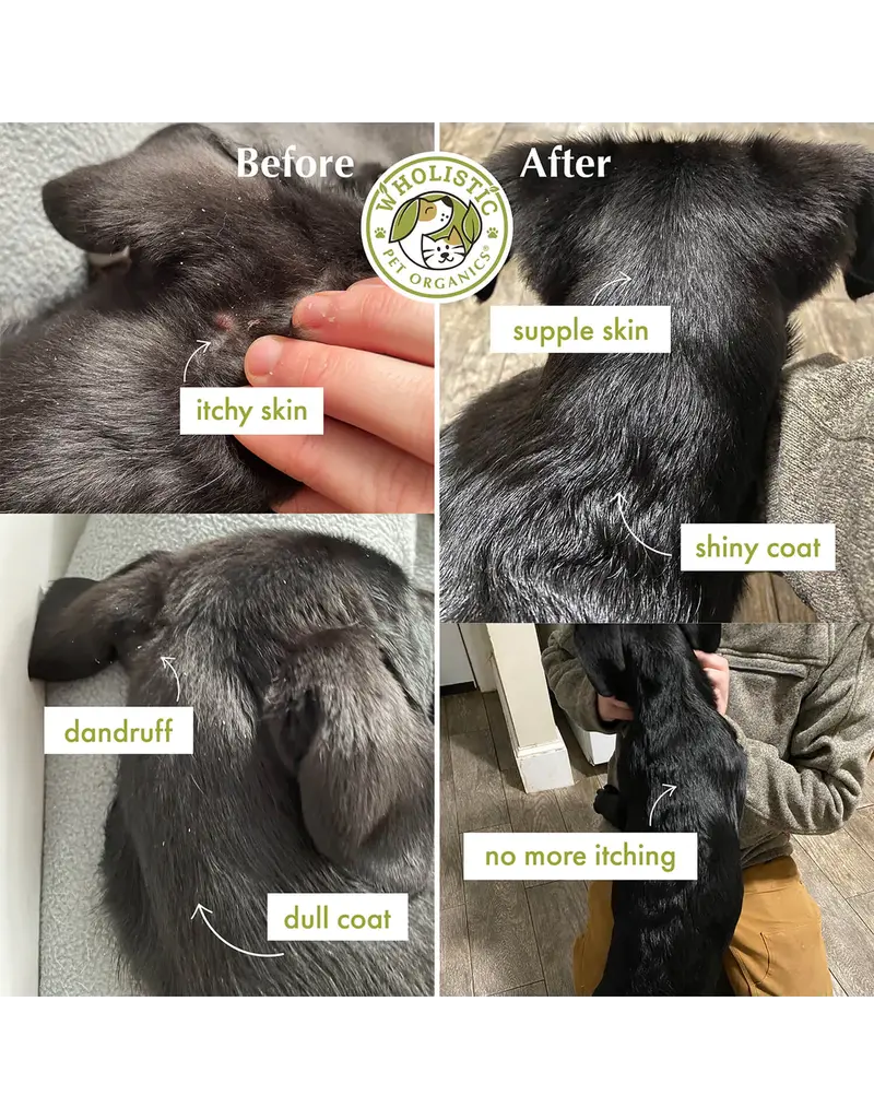 Wholistic Pet Organics Wholistic Pet Organics Wild Salmon Oil