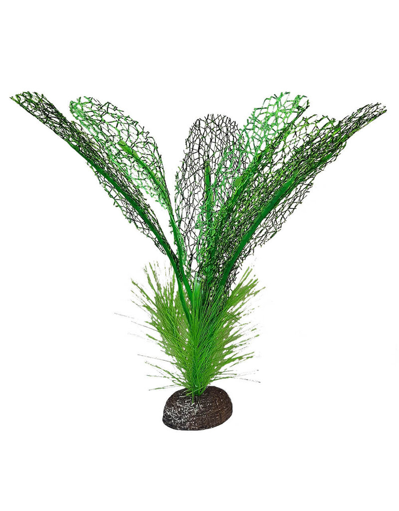 Fluval Fluval Betta Madagascar Lace Plant 6 in