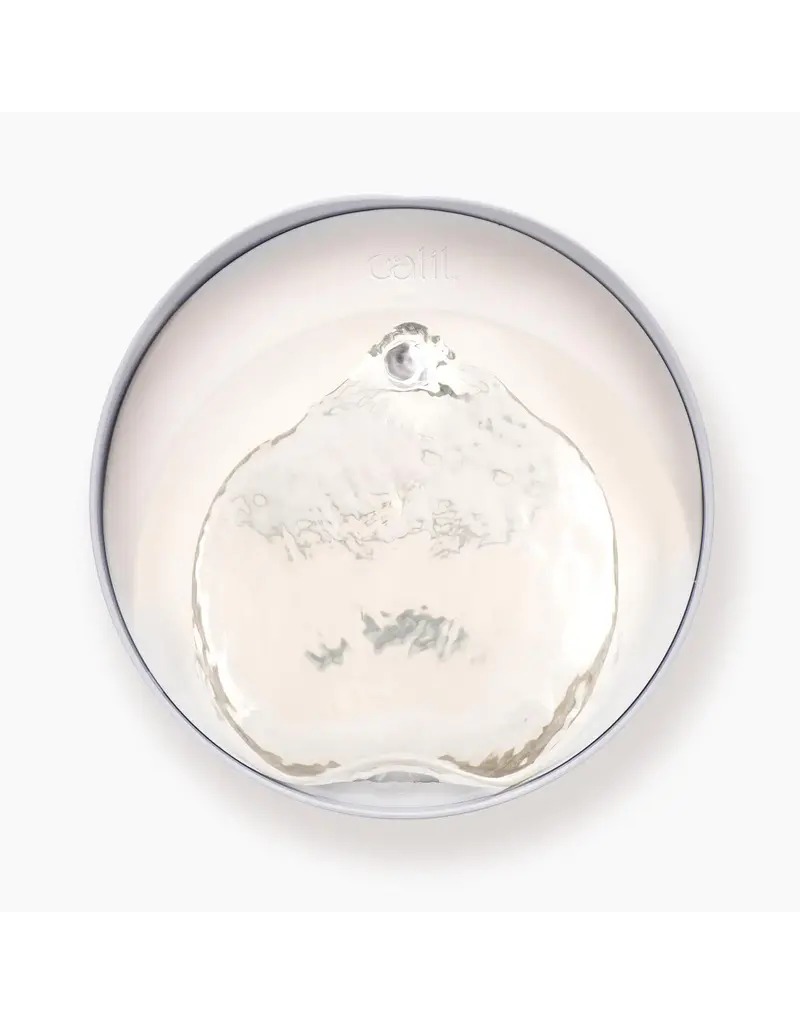 Catit Catit Pixi Stainless Steel Drinking Fountain White