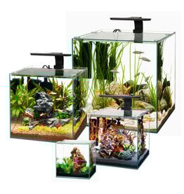 Aqueon Aqueon Frameless Cube Aquarium