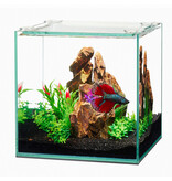 Aqueon Aqueon Frameless Cube Aquarium