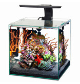 Aqueon Aqueon Frameless Cube Aquarium