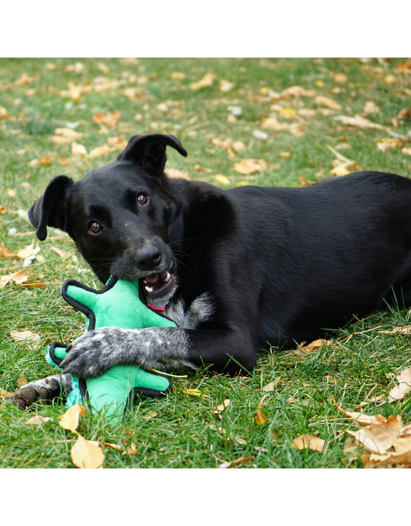 Kong Company Kong Ballistic Alligator Dog Toy