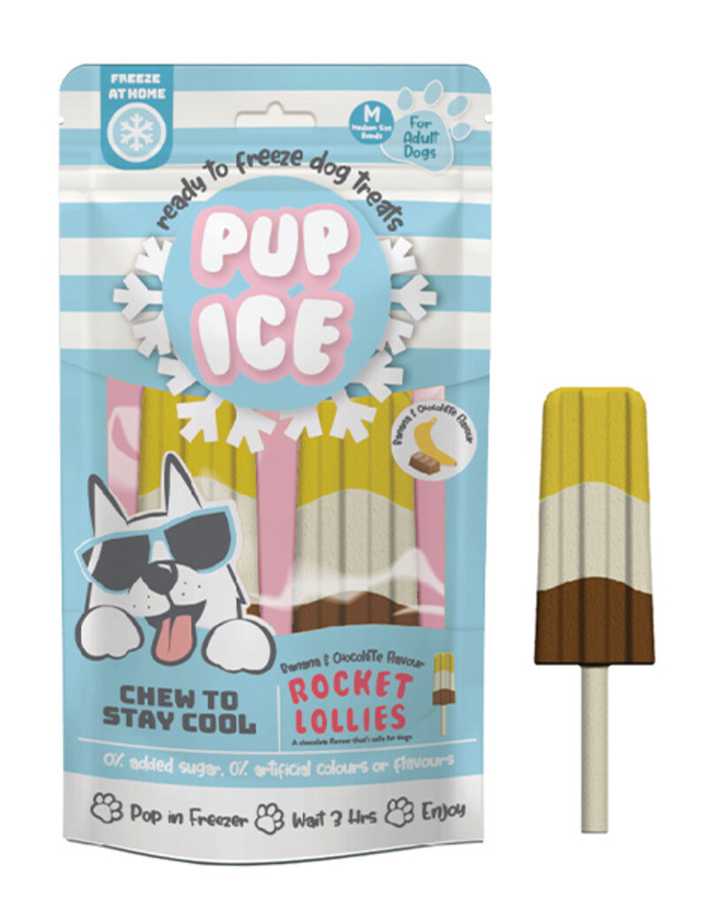 Pup Ice Rocket Lollies Dog Treats Banana/Chocolate Noah's Ark