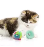 Smartykat SmartyKat Fuzzy Friends Catnip Ball Cat Toy
