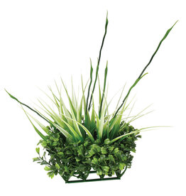 Fluval Fluval Chi Boxwood and Tall Grass Ornament