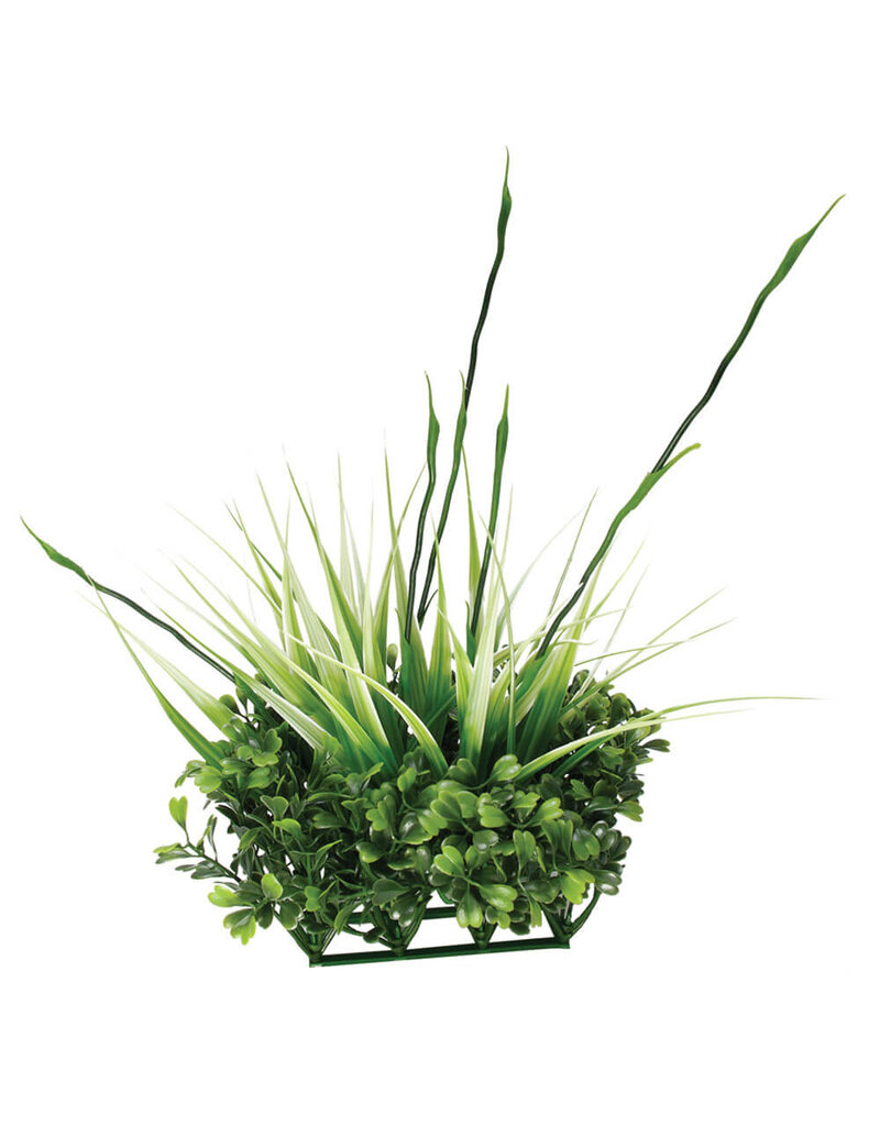Fluval Fluval Chi Boxwood and Tall Grass Ornament