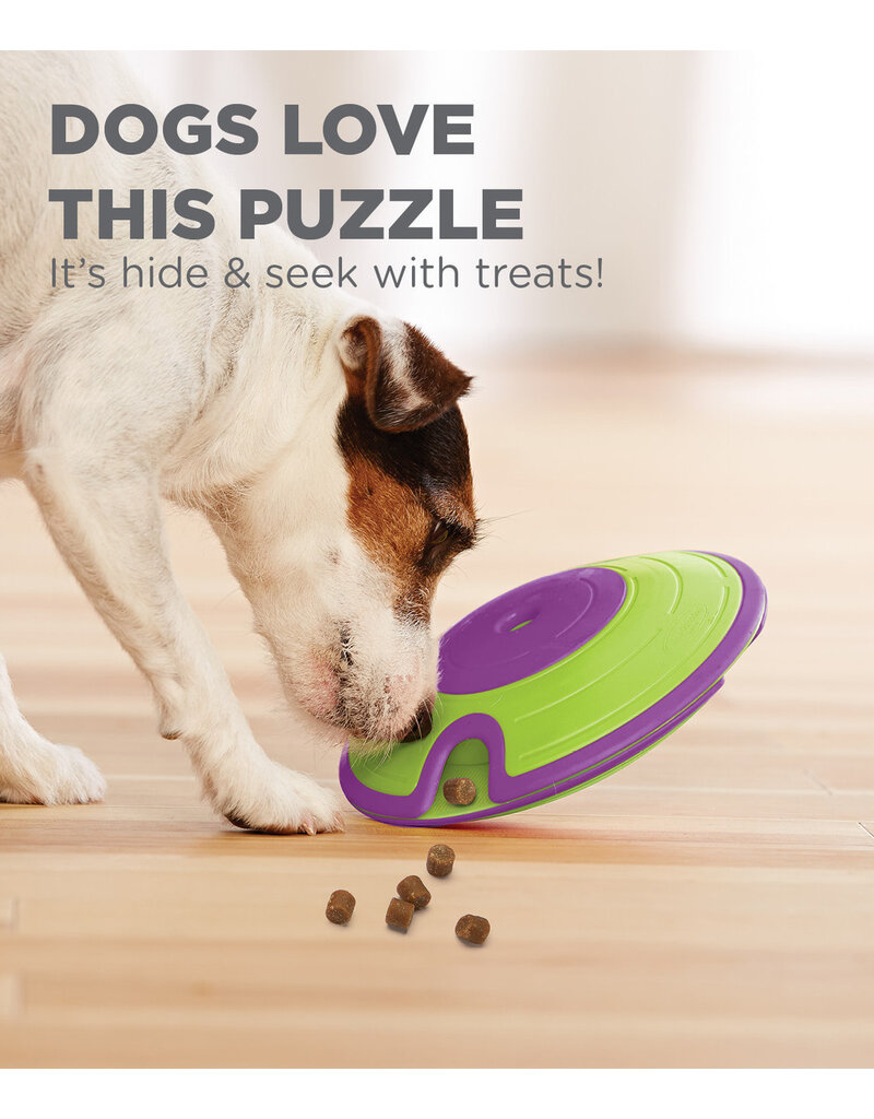 KYJEN COMPANY Treat Maze Interactive Puzzle Intermediate Dog Toy