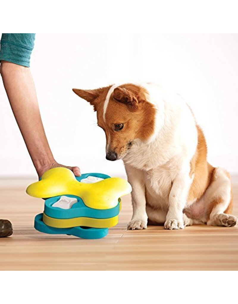 Outward Hound Outward Hound Tornado Dog Puzzle Level 2