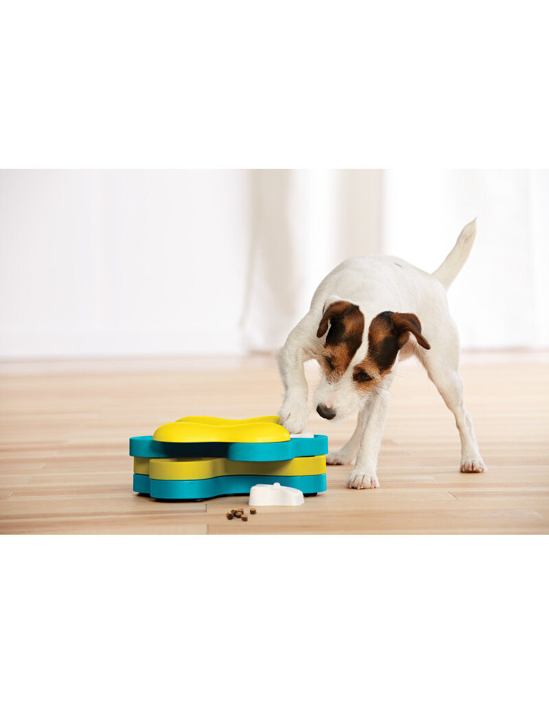 Outward Hound Outward Hound Tornado Dog Puzzle Level 2