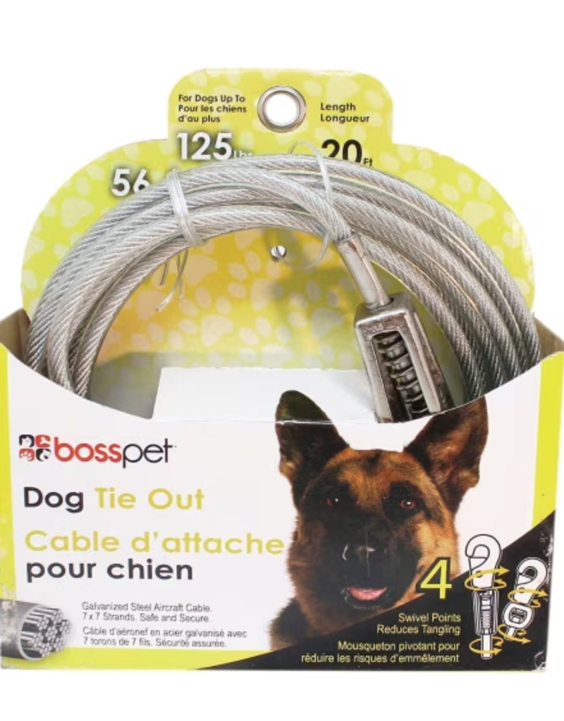 Boss/Pet Edge Boss Pet Tie-out 125lb XL 20ft  spring