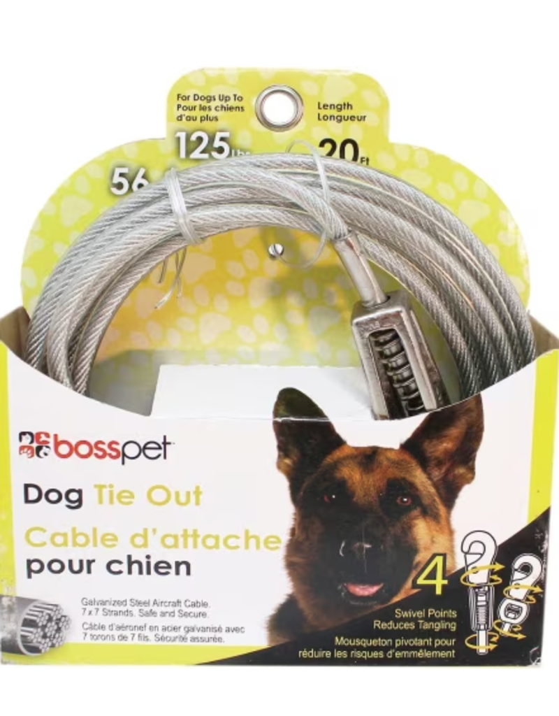Boss/Pet Edge Boss Pet Tie Out W/Spring up to 125lbs 20 ft