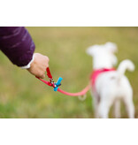 Curli Curli Adjustable Nylon Leash