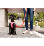 Curli Curli Adjustable Nylon Leash