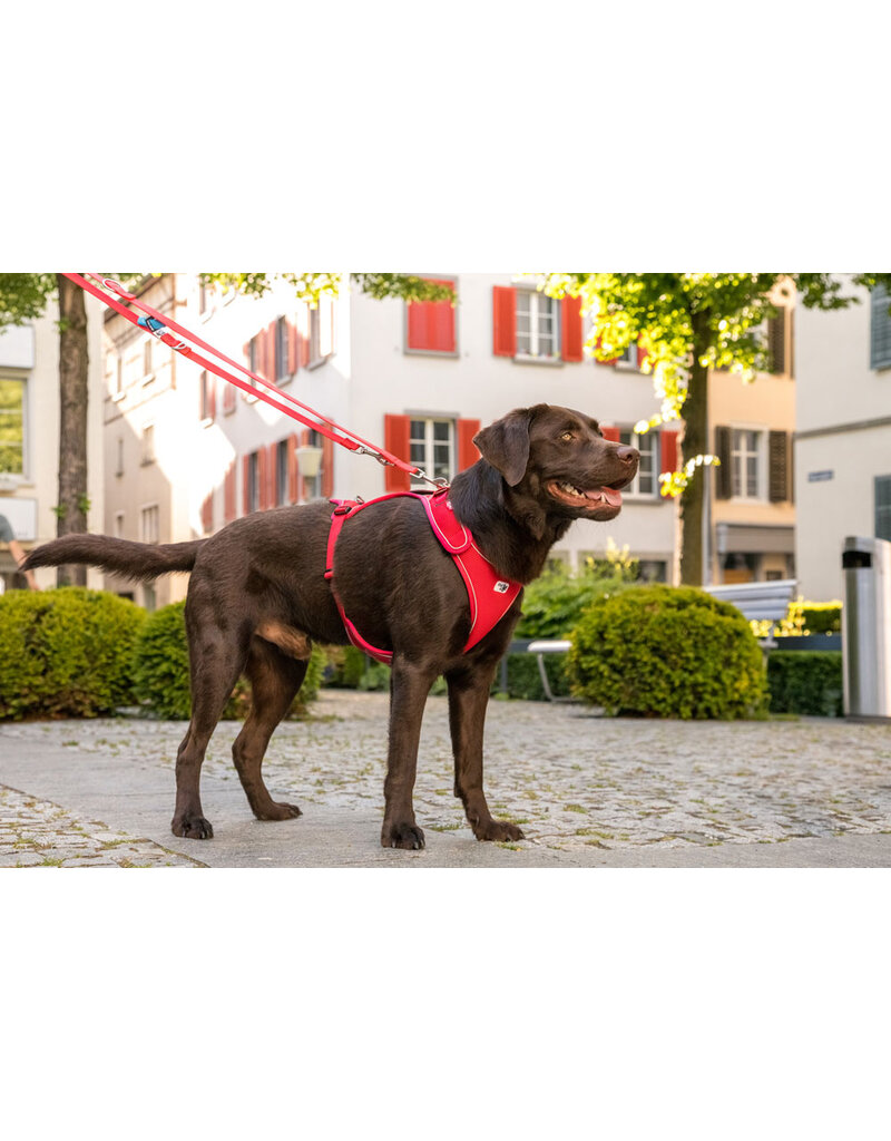 Curli Curli Adjustable Nylon Leash