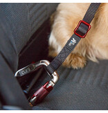Curli Curli Car Safety Belt Dog Black