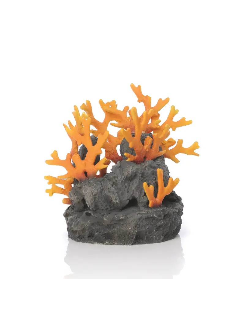 Oase Biorb Lava Rock with Fire Coral Sculpture