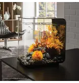 Oase Biorb Lava Rock with Fire Coral Sculpture