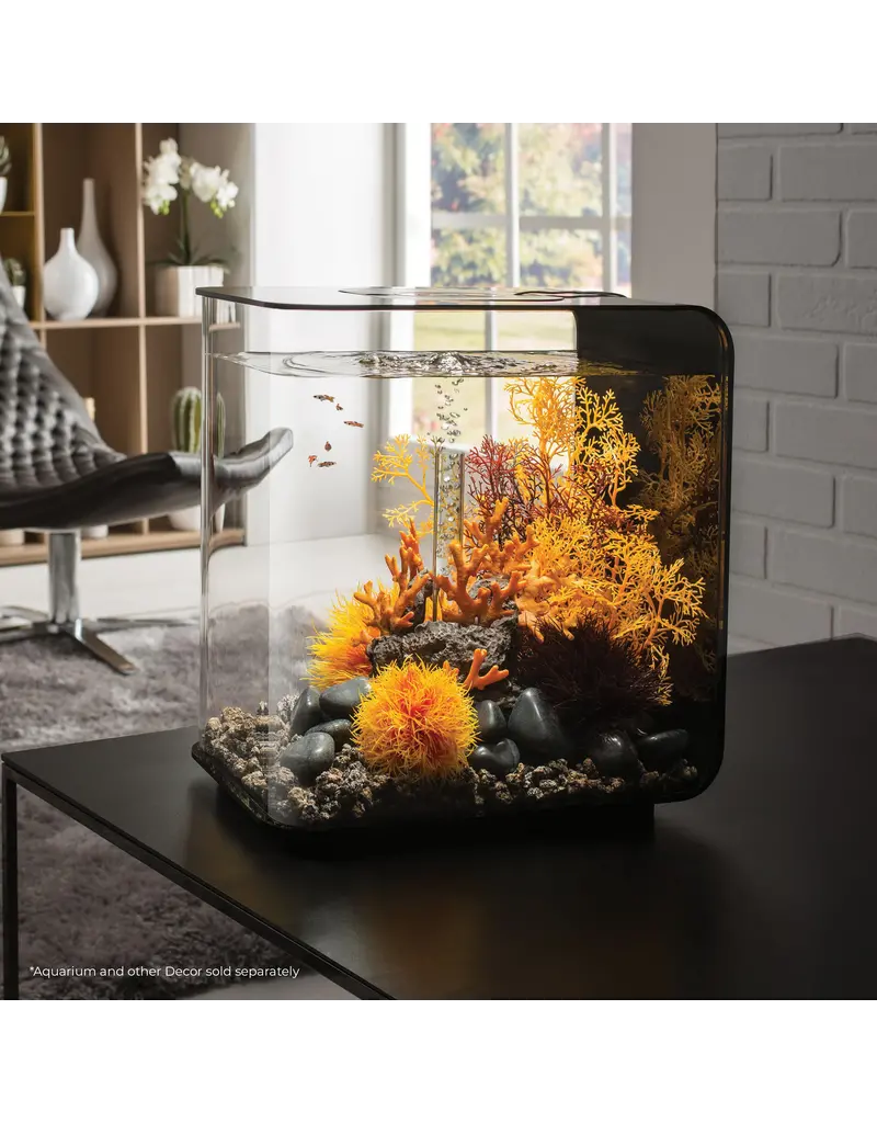 Oase Biorb Lava Rock with Fire Coral Sculpture