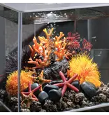 Oase Biorb Lava Rock with Fire Coral Sculpture
