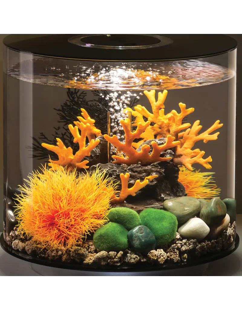 Oase Biorb Lava Rock with Fire Coral Sculpture