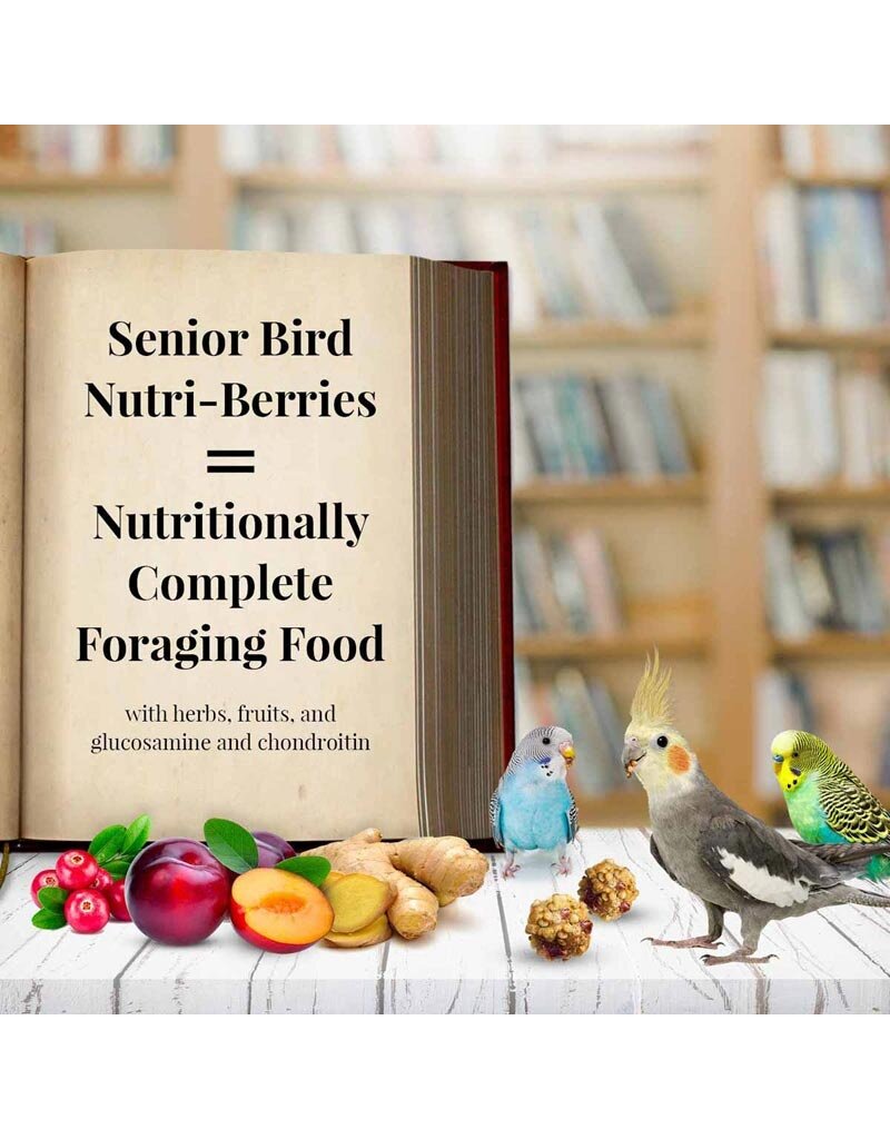 Lafeber Lafeber Company Senior Bird Nutri-Berries for Parakeets & Cockatiels 10 Oz